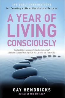 A Year of Living Consciously